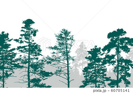 Realistic illustration of a green forest with 60705141