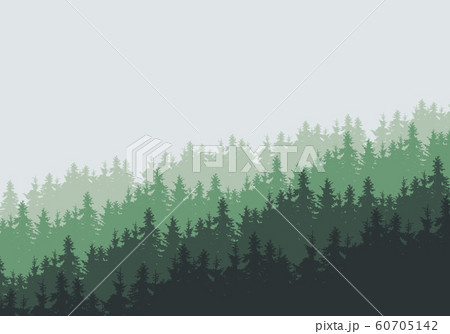 Vector illustration of a dense coniferous forest 60705142