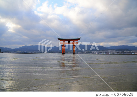<広島県>宮島　厳島神社（嚴島神社）の大鳥居 60706029