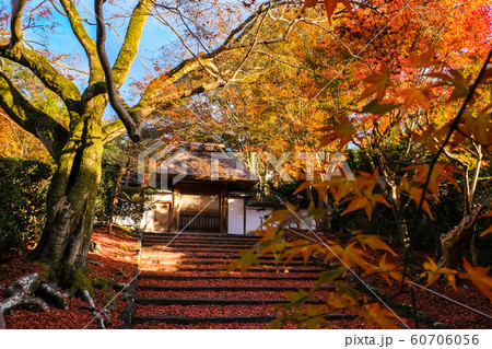 京都 紅葉の安楽寺 雨上がり 京都 紅葉の安楽寺 雨上がり 60706056