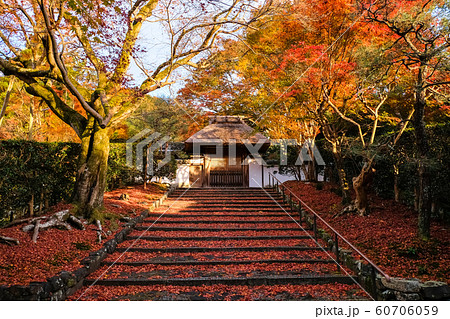 京都 紅葉の安楽寺 雨上がり 京都 紅葉の安楽寺 雨上がり 60706059
