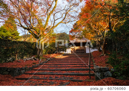 京都 紅葉の安楽寺 雨上がり 京都 紅葉の安楽寺 雨上がり 60706060