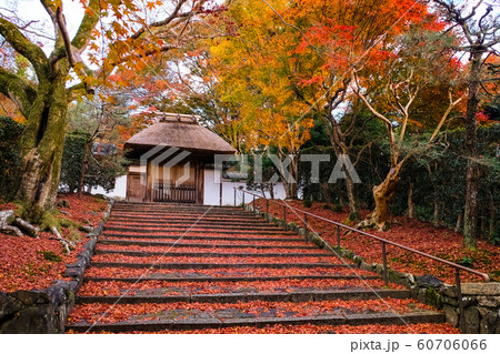 京都 紅葉の安楽寺 雨上がり 京都 紅葉の安楽寺 雨上がり 60706066