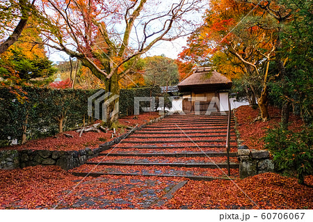 京都 紅葉の安楽寺 雨上がり 京都 紅葉の安楽寺 雨上がり 60706067