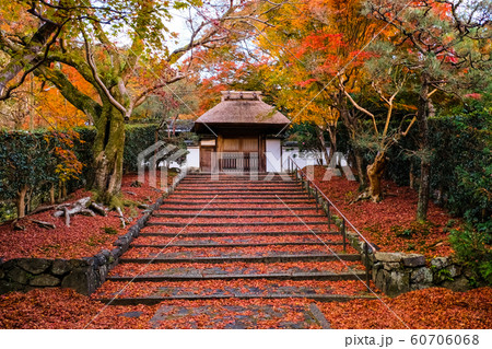京都 紅葉の安楽寺 雨上がり 京都 紅葉の安楽寺 雨上がり 60706068