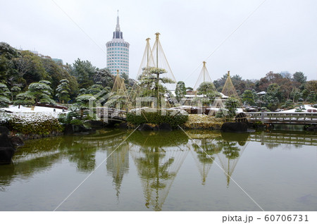 雪の見浜園(海浜幕張) 雪の見浜園(海浜幕張) 60706731
