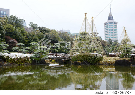 雪の見浜園/海浜幕張(千葉市美浜区) 雪の見浜園/海浜幕張(千葉市美浜区) 60706737