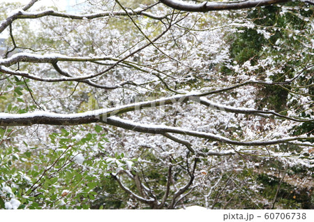 雪景色 雪景色 60706738