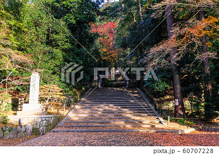 京都 秋の法然院の写真素材 [60707228] - PIXTA
