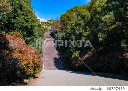 京都 伏見桃山陵 60707489