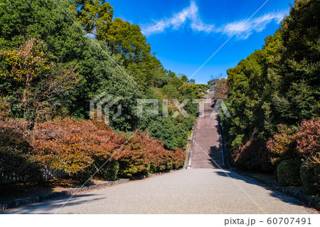 京都 伏見桃山陵 京都 伏見桃山陵 60707491