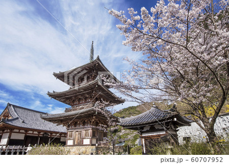 桜咲く壺阪寺の風景　春の南法華寺　奈良観光スポット 60707952