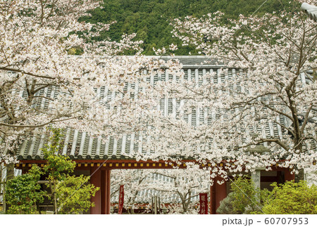 壺阪寺 南法華寺 奈良観光スポット 壺阪寺 南法華寺 奈良観光スポット 60707953