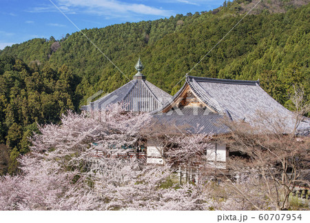 壺阪寺 南法華寺 奈良観光スポット 壺阪寺 南法華寺 奈良観光スポット 60707954