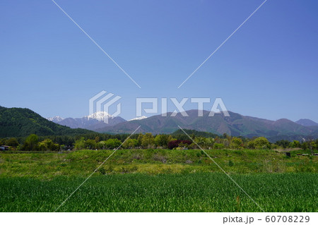 常念岳（あずみ野風景） 60708229