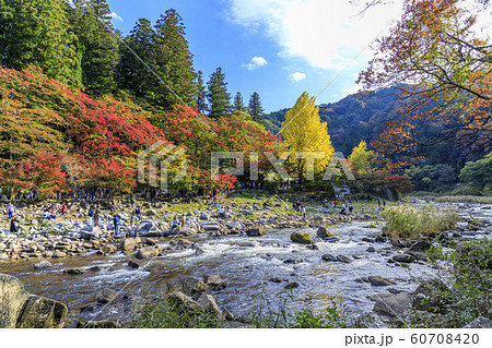 香嵐渓 紅葉 香嵐渓 紅葉 60708420