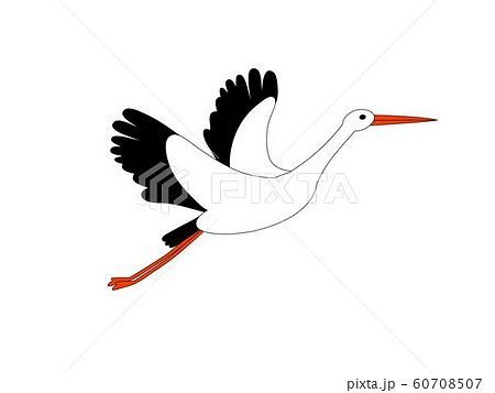 Stork flying isolated on white. Bird as symbol for news, delivery, pregnancy, baby shower. Vector 60708507