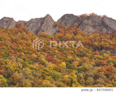 八剣山 紅葉 八剣山 紅葉 60708665