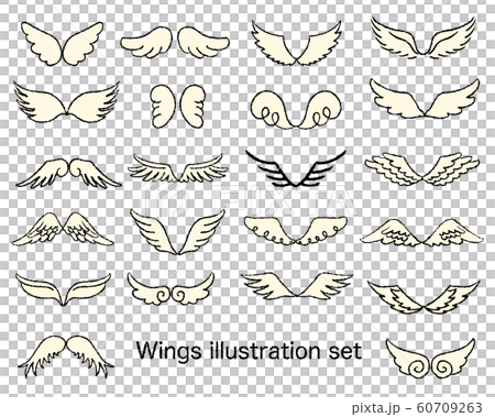 Wing illustration set 60709263