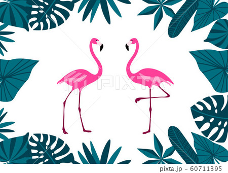 Pink Flamingo Couple with tropical leaves border. Cute exotic birds. Cartoon flat design. Pink Flamingo Couple with tropical leaves border. Cute exotic birds. Cartoon flat design. 60711395