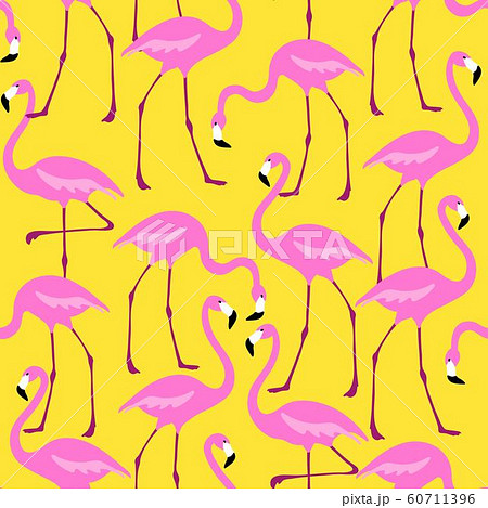 Flamingo pattern. Seamless background with pink bird. Exotic tropical repeated banner. Flamingo pattern. Seamless background with pink bird. Exotic tropical repeated banner. 60711396