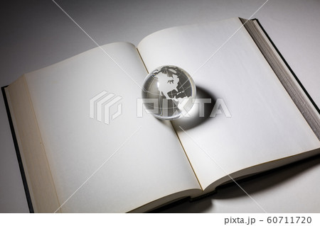 globe and open book 60711720