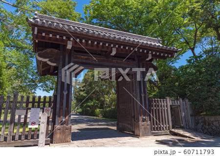 京都御苑 蛤御門の春景色 60711793