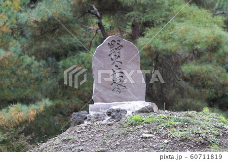 平林寺の紅葉 野火止塚 埼玉県 平林寺の紅葉 野火止塚 埼玉県 60711819