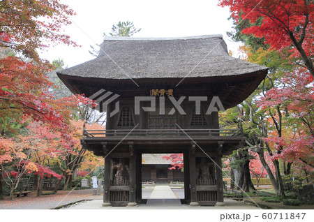 平林寺の紅葉 埼玉県 平林寺の紅葉 埼玉県 60711847