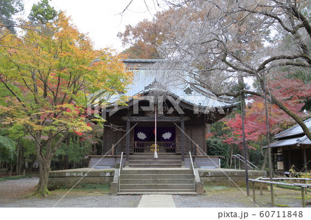 平林寺の紅葉 埼玉県 平林寺の紅葉 埼玉県 60711848