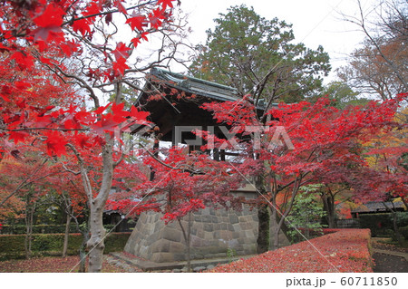 平林寺の紅葉 埼玉県 平林寺の紅葉 埼玉県 60711850