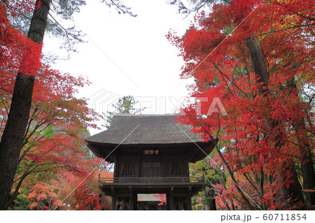 平林寺の紅葉 埼玉県 平林寺の紅葉 埼玉県 60711854