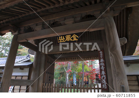 平林寺の紅葉 埼玉県 平林寺の紅葉 埼玉県 60711855