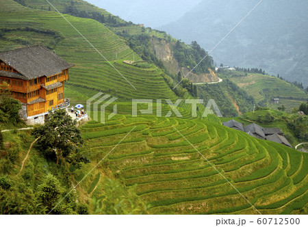Longsheng Rice Terraces near Guilin, Guangxi in China 60712500