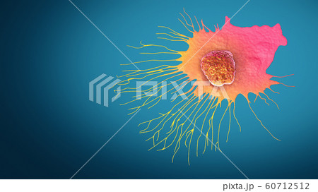 Migrating breast cancer cell - 3d illustration 60712512