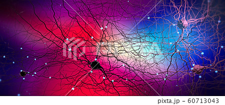 Signal transmitting neurons or nerve cells 60713043