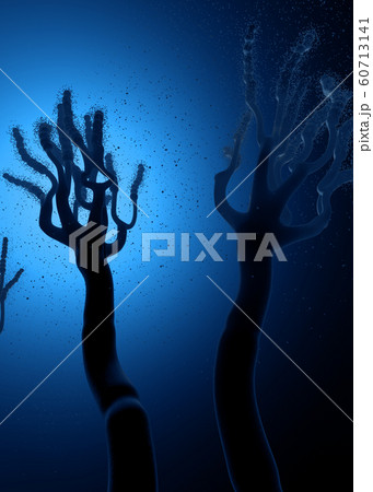 Microscopic view on growing molds or mold fungus 60713141