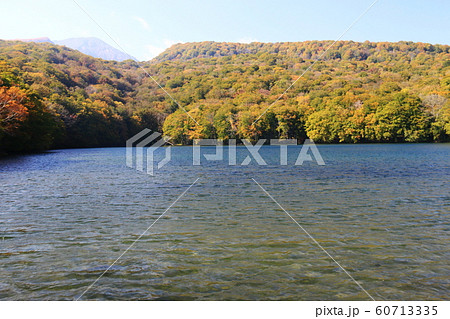 八甲田の秋　蔦七沼の景色　蔦沼 60713335