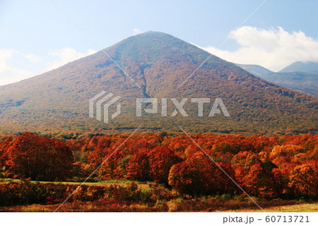 八甲田の秋 田代牧場からの高田大岳 八甲田の秋 田代牧場からの高田大岳 60713721