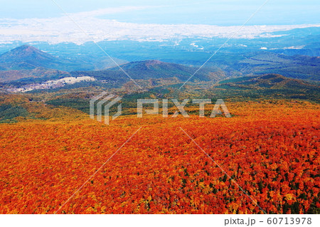 八甲田山の秋　目に染みる紅葉　 60713978