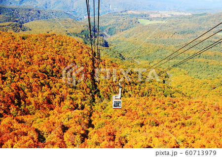 八甲田山の秋 ロープウェイと目に染みる紅葉 八甲田山の秋 ロープウェイと目に染みる紅葉 60713979