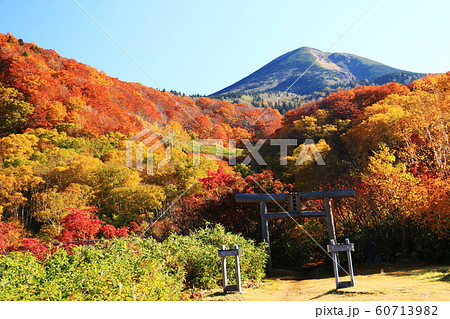 八甲田山の秋 目に染みる紅葉 酸ヶ湯温泉 八甲田山の秋 目に染みる紅葉 酸ヶ湯温泉 60713982