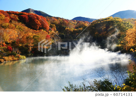 八甲田山の秋 酸ヶ湯温泉 紅葉に包まれる地獄沼 八甲田山の秋 酸ヶ湯温泉 紅葉に包まれる地獄沼 60714131
