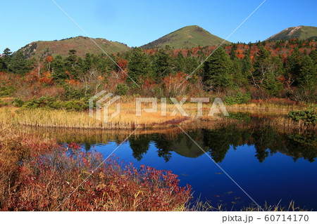 八甲田山の秋　睡蓮沼と八甲田連山 60714170