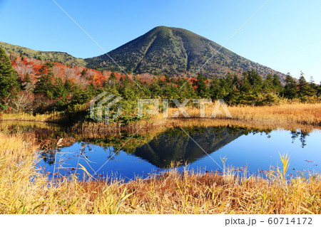 八甲田山の秋 睡蓮沼と高田大岳 八甲田山の秋 睡蓮沼と高田大岳 60714172
