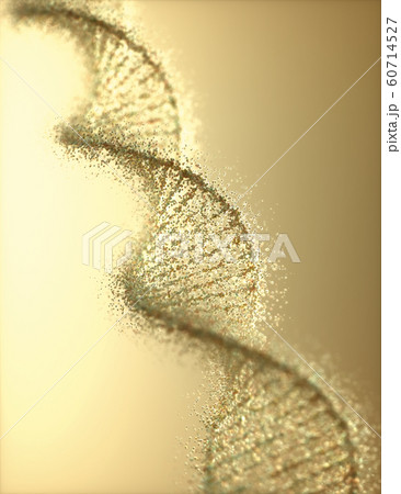 Oxidative DNA Damage Genetic Disorder Molecular Oxidative DNA Damage Genetic Disorder Molecular 60714527