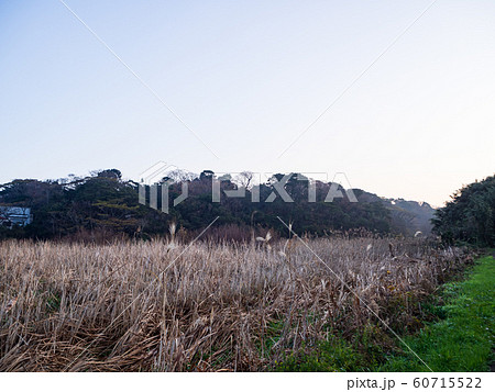畑（冬） 60715522