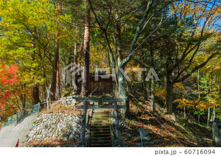 新田神社：もみじ湖：秋　　　上伊那郡箕輪町 60716094