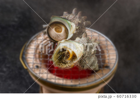 さざえ料理 Grilled (turban shell) Japanese food さざえ料理 Grilled (turban shell) Japanese food 60716330