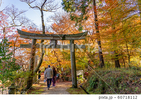 滋賀県　湖南三山の一つ　紅葉の美しい長寿寺の参道と鳥居 60718112